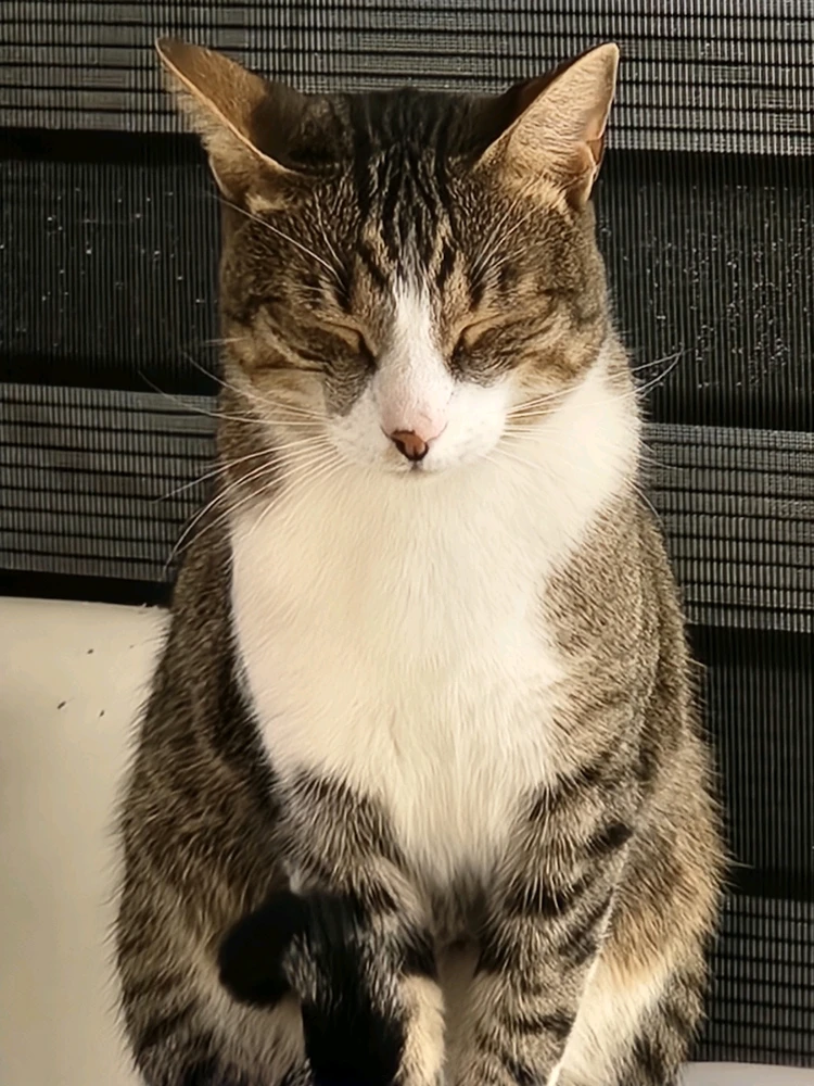 Imagen subida por Jacki