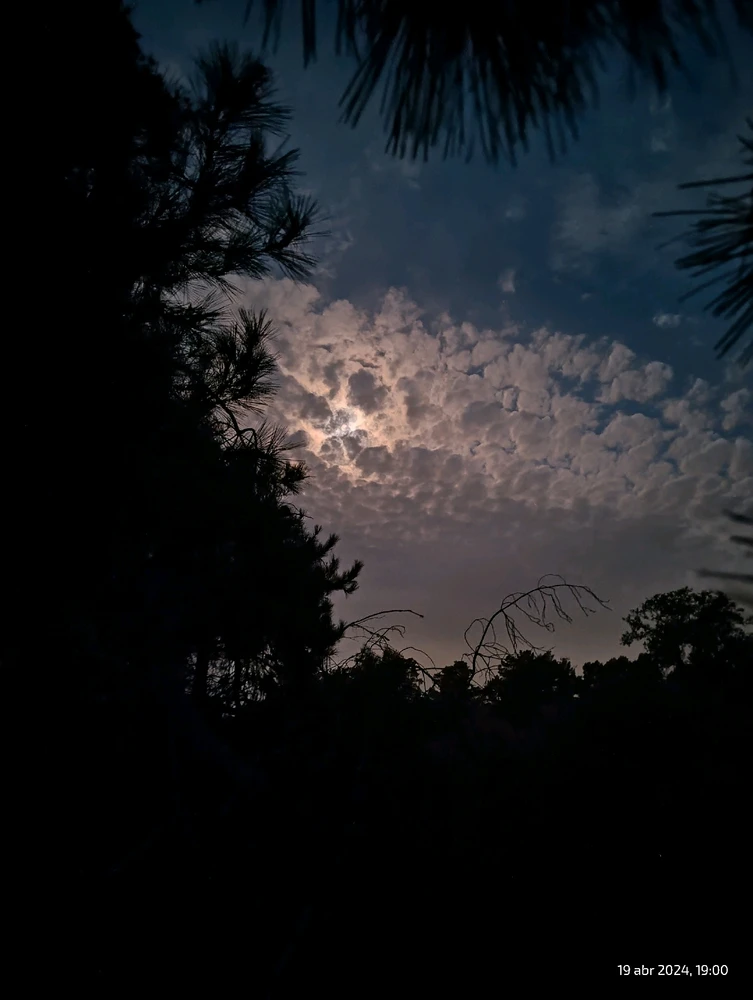 Imagen subida por Fernando