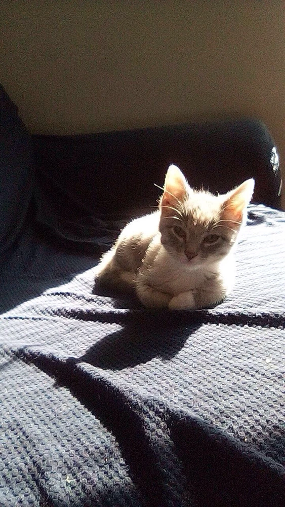 Image uploaded by Rae