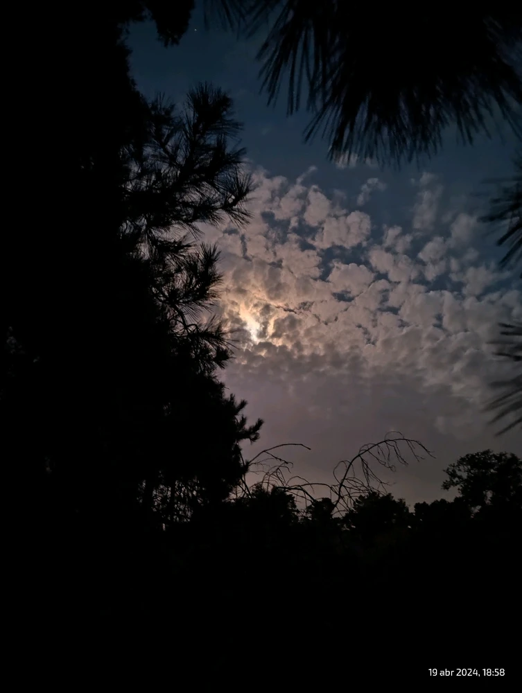 Imagen subida por Fernando