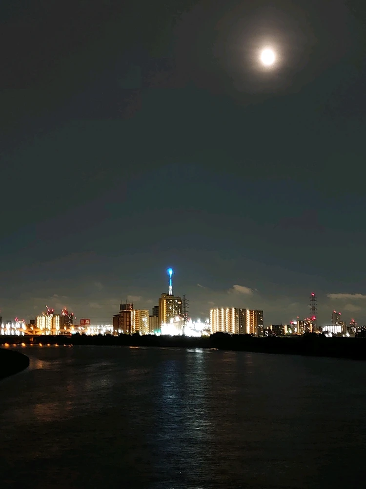 のらねこ(noraneko(*ΦωΦ*))がアップロードした画像