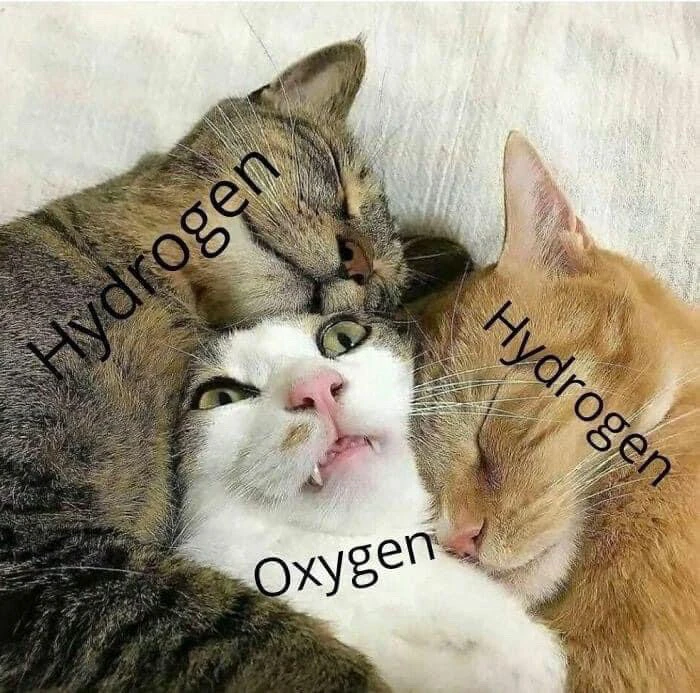 Image uploaded by [NPC] Daniel