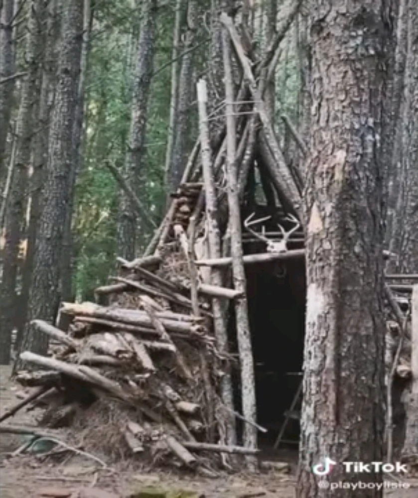 Zdjęcie dodane przez ᛊᚨᛚᚢᛏᛟᚱ ᛃᛖᛉᛖᛒᛖᛚ 𖤐