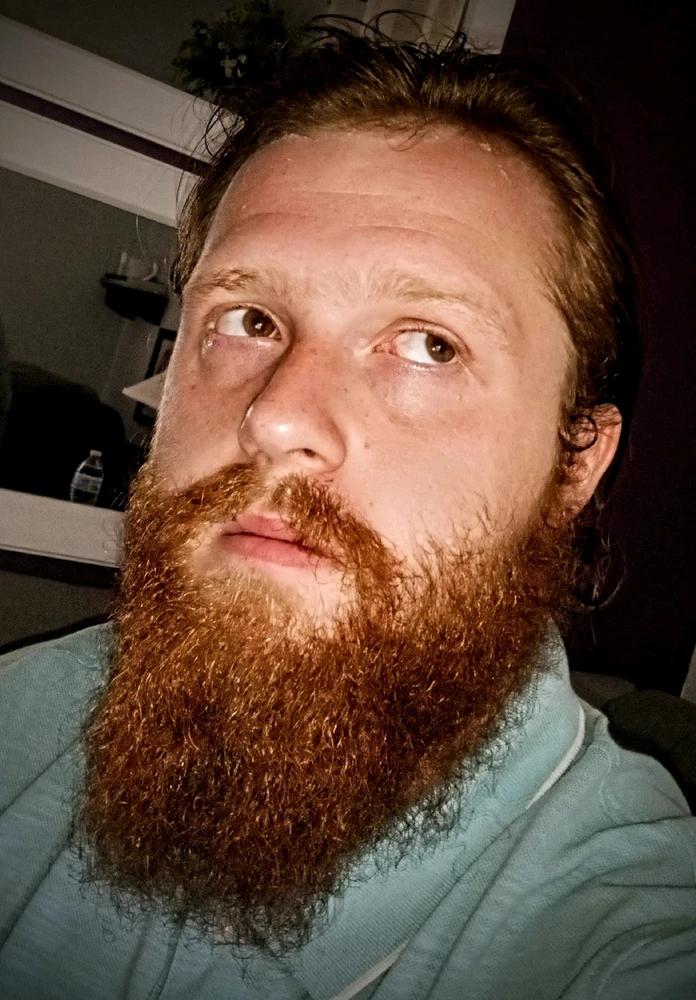 William tarafından yüklenen görsel