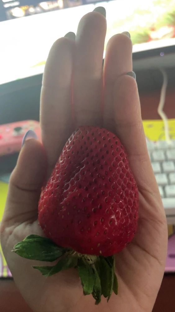 Image uploaded by Ally