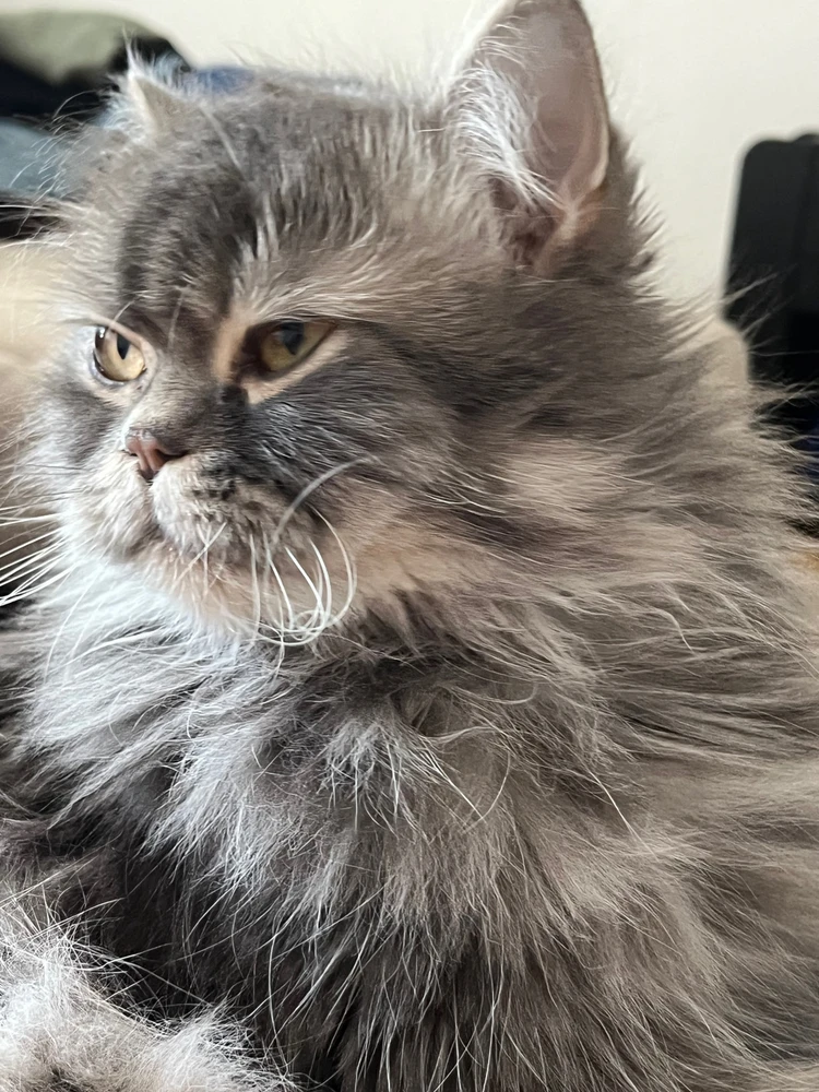 Фото загрузил Daniil