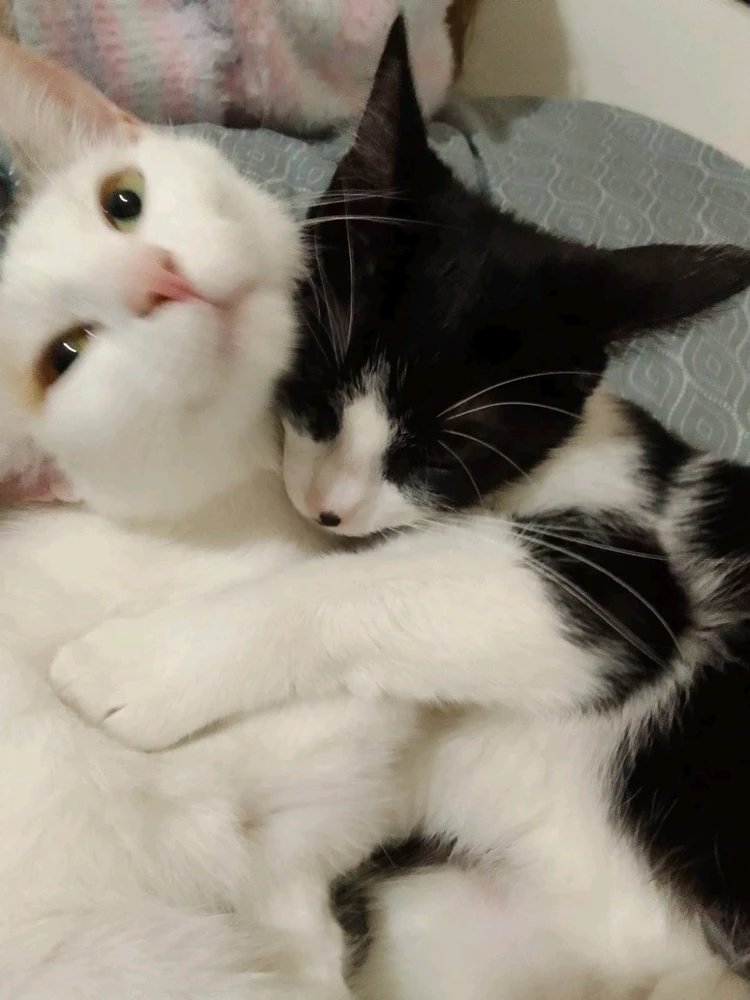 Zdjęcie dodane przez Zofia Bo-tak!