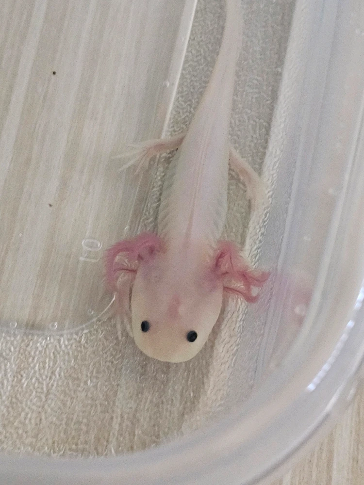 Image uploaded by Keith