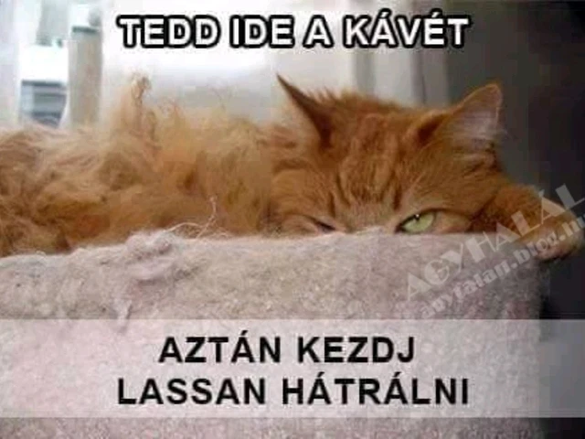 vanazúgy által feltöltött kép