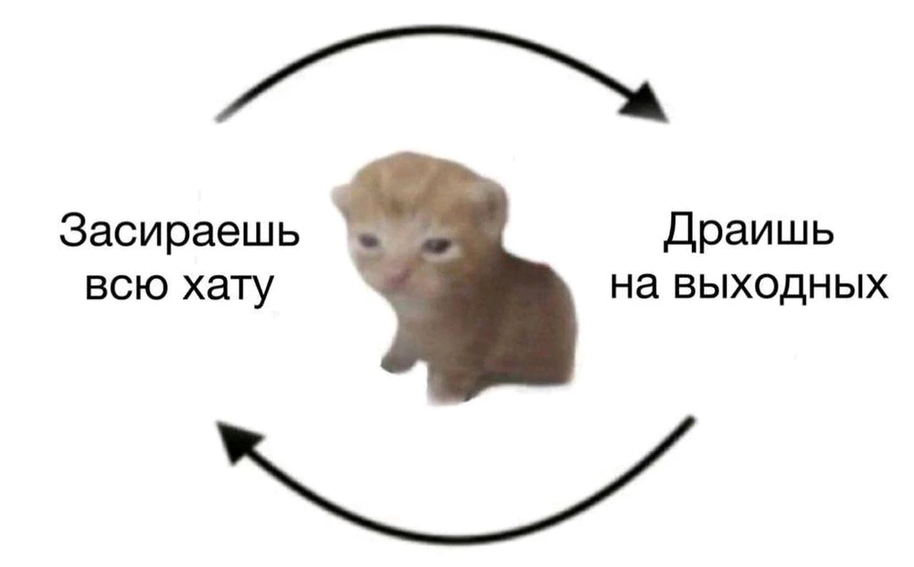 Фото загрузил Atom_bora