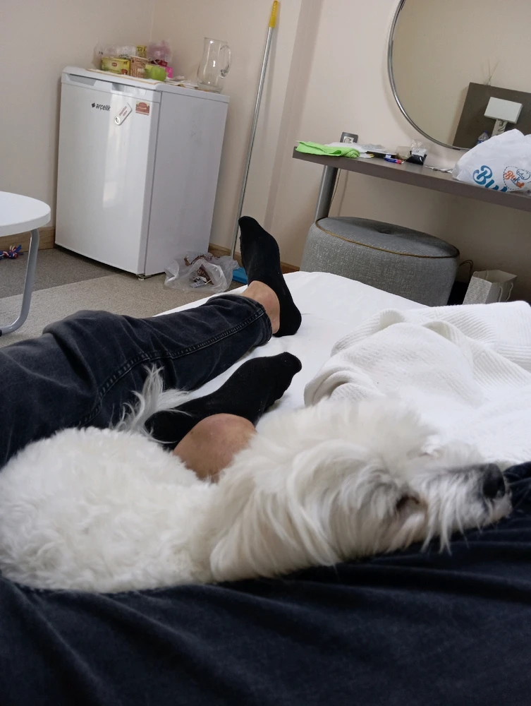 Faruk tarafından yüklenen görsel