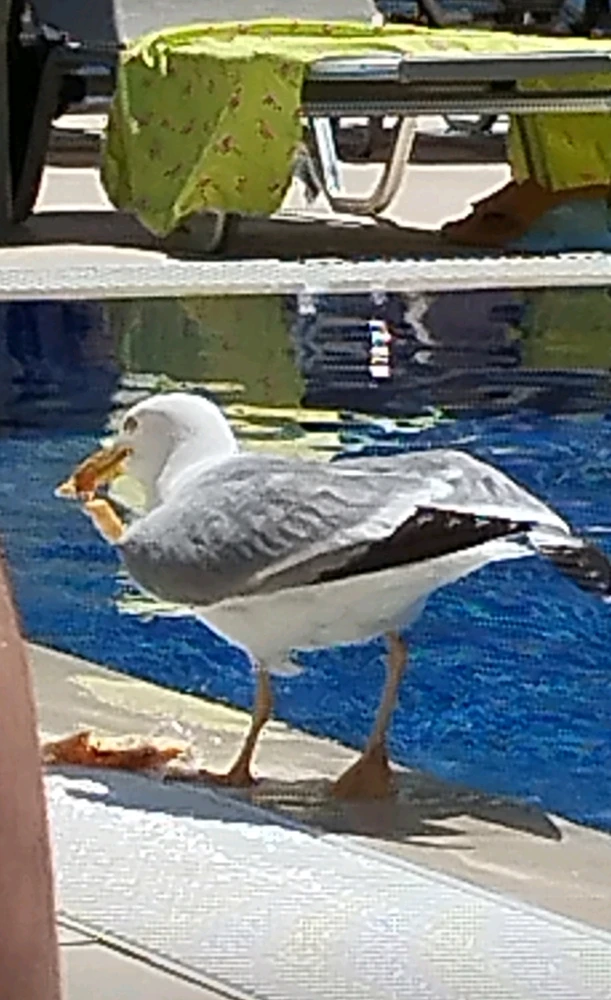 Obrázek nahrál Michal