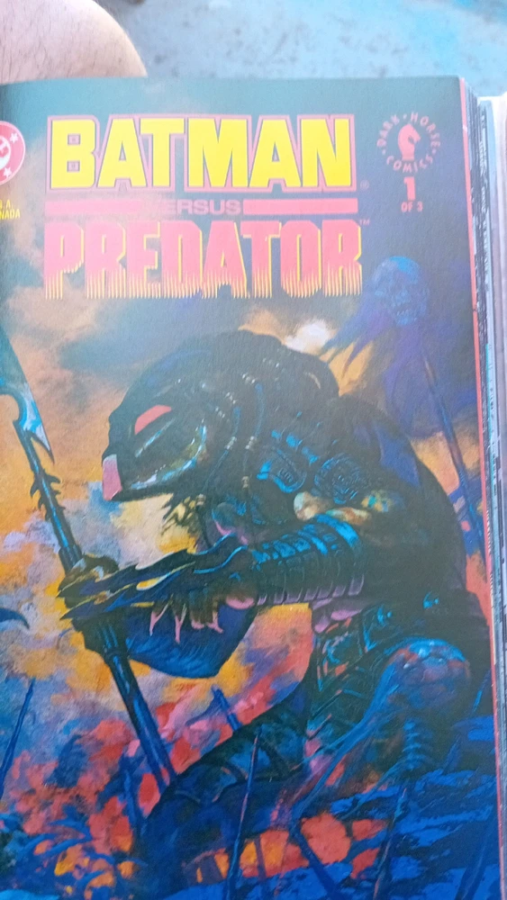 Imatge pujada per Lleidatà