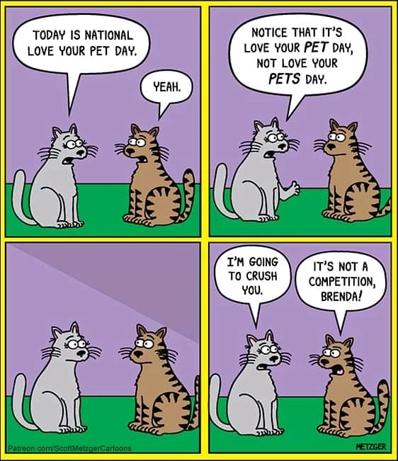 Afbeelding geüpload door Rene