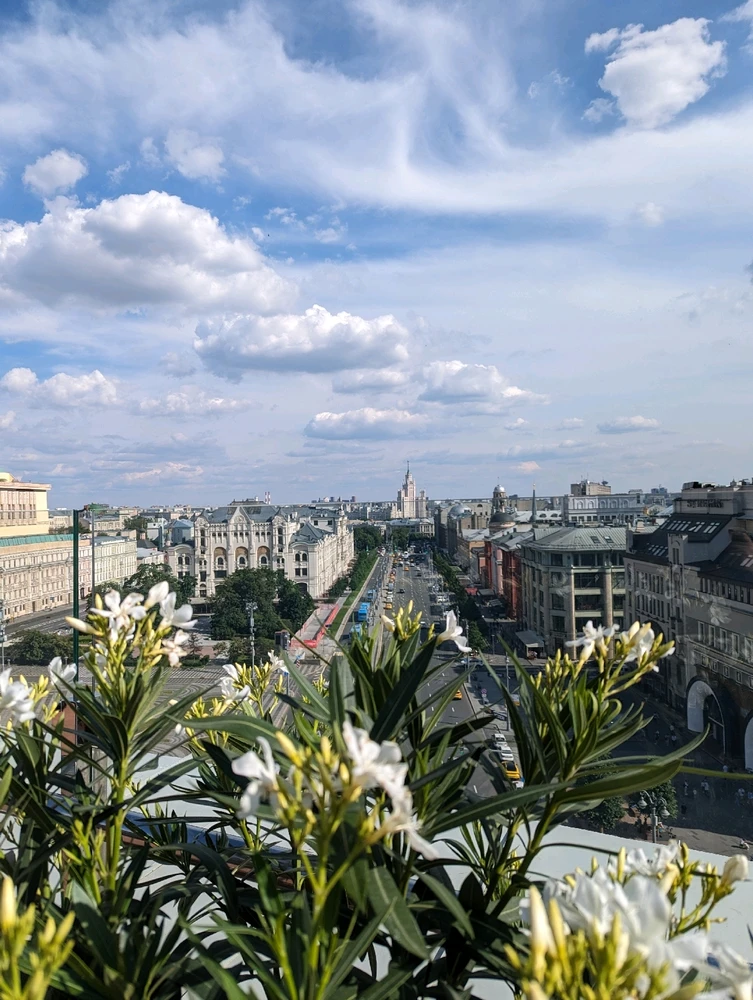 Фото загрузил Даша