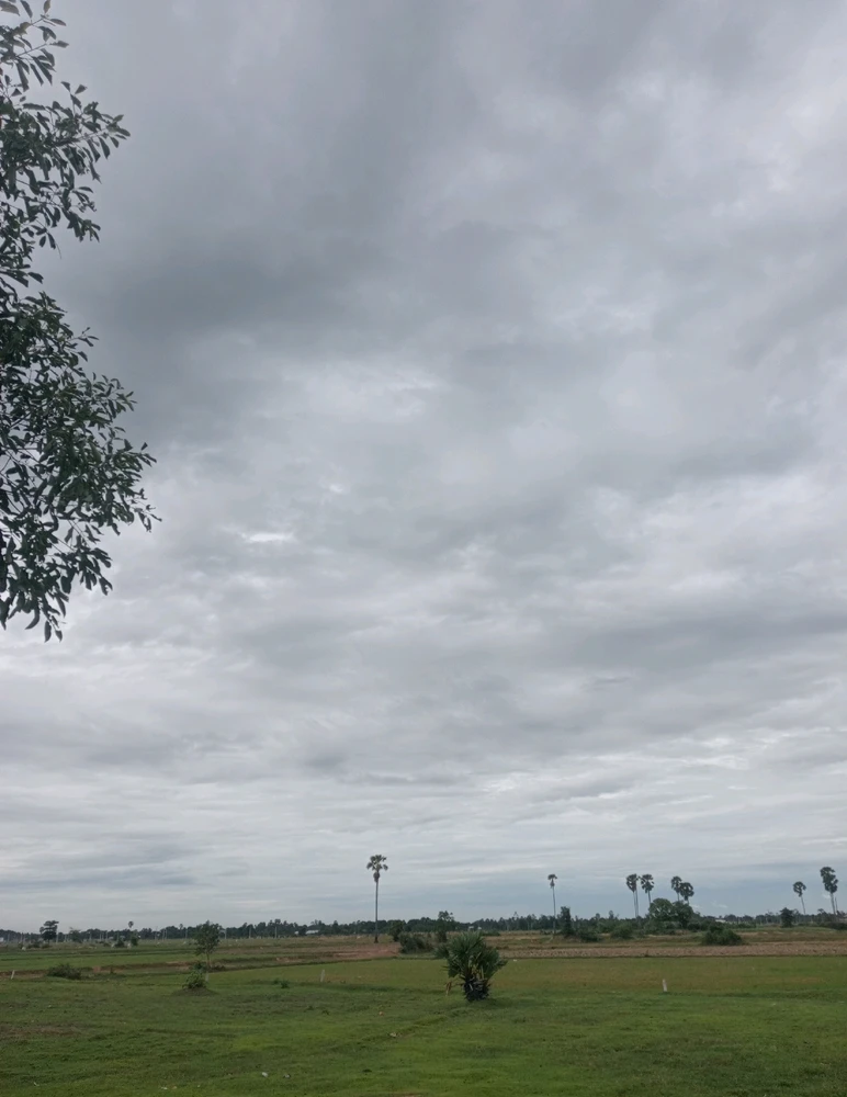 Image uploaded by Leng Leng