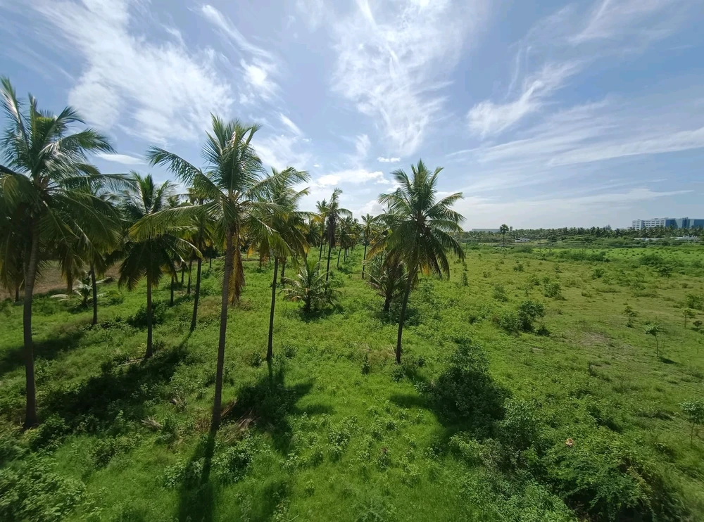 Image uploaded by Mohit