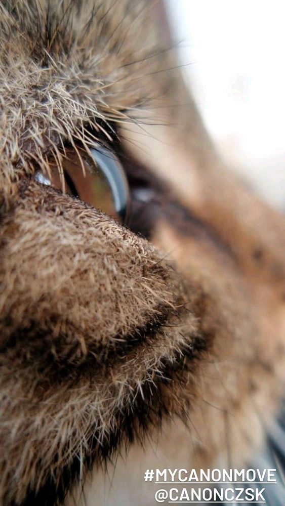 Fotku nahral/-a Andrej