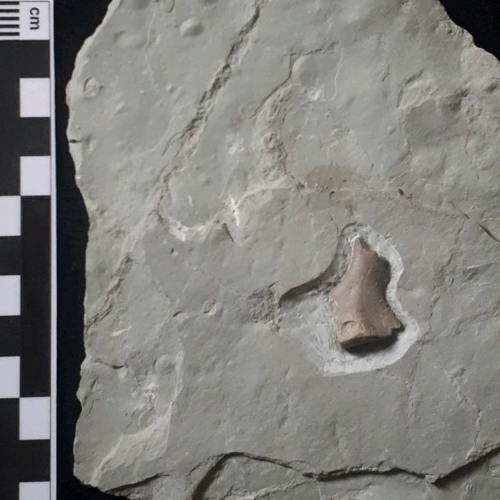 Bild hochgeladen von Herbert = ᚺᛖᚱᛒᛖᚱᛏ