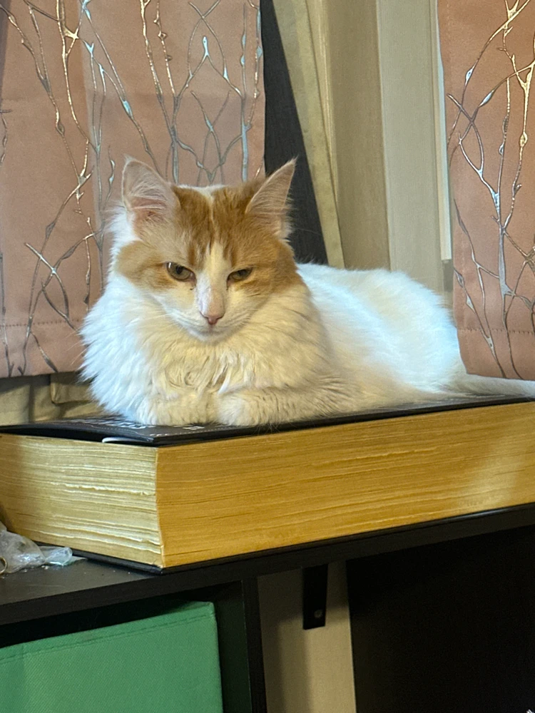 Image uploaded by Geektionary