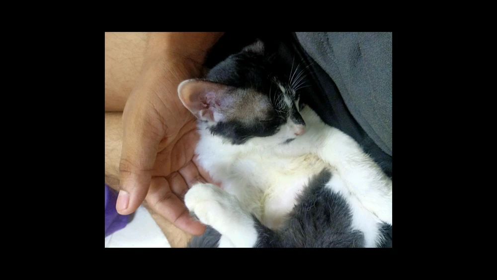 Image uploaded by JAYESH