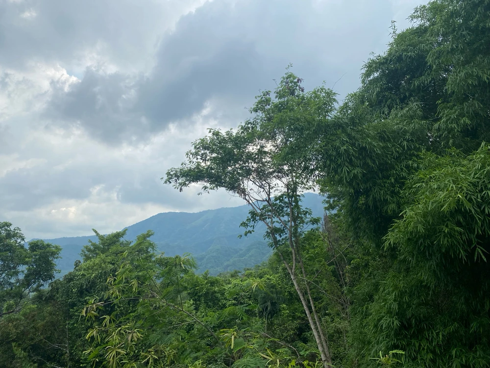 Image uploaded by Mharion