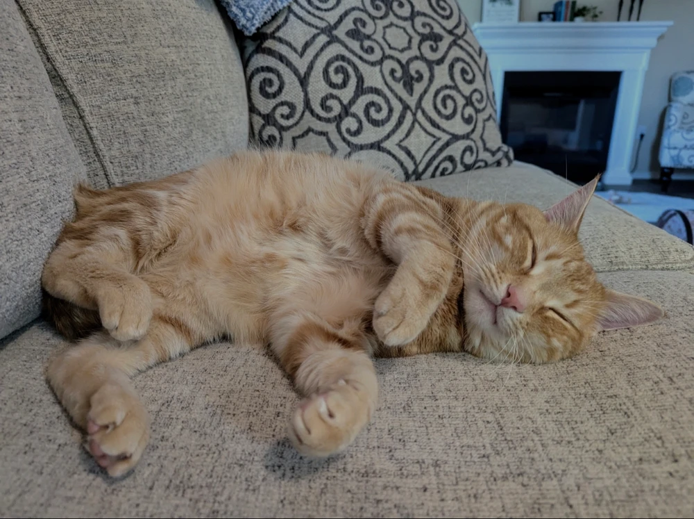 Image uploaded by Melissa