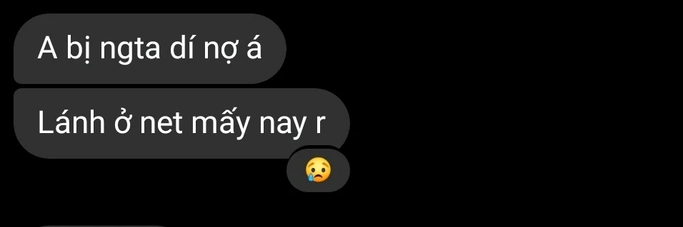 Ảnh do TheBui tải lên