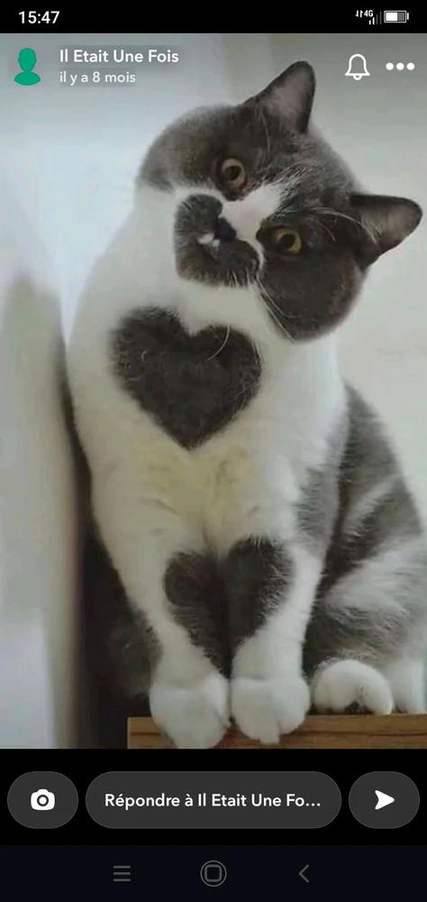 Image ajoutée par Héraclès