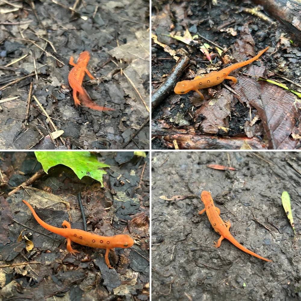 Image uploaded by Cory