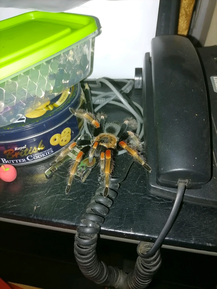 Image uploaded by Jo