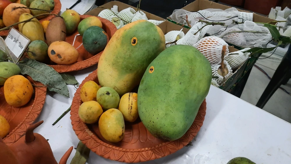 Image uploaded by Yash Mishra