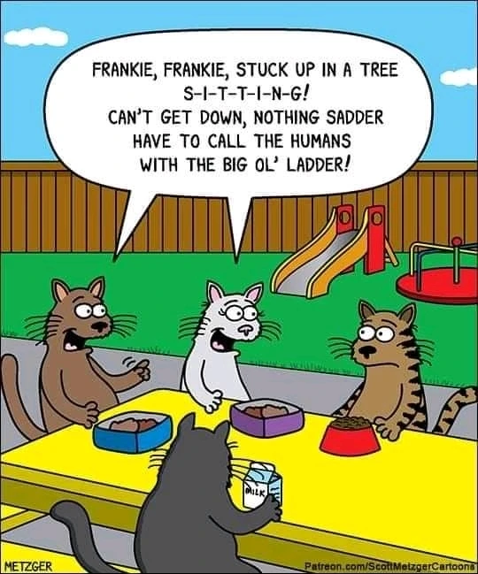 Afbeelding geüpload door Rene