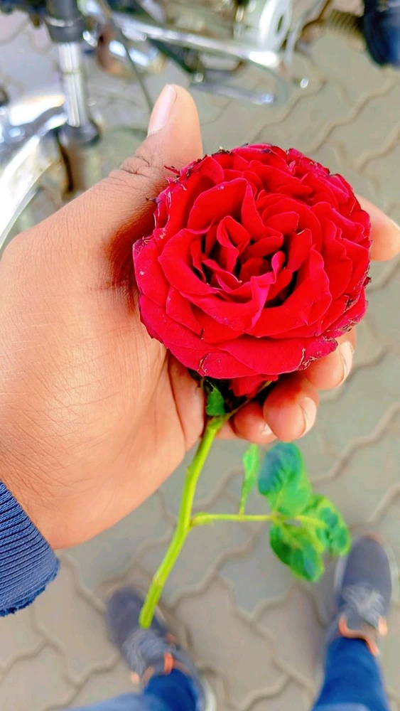 Image uploaded by Kunal