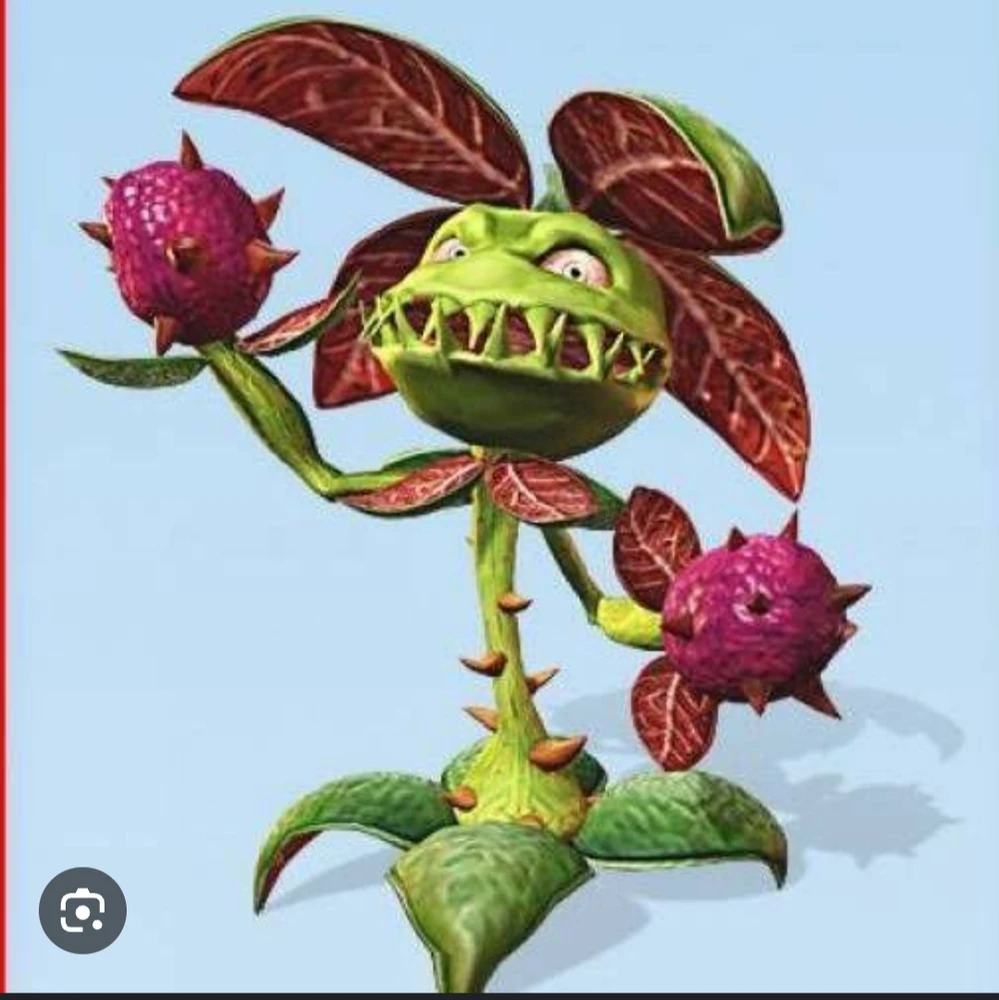 Imagen subida por vica