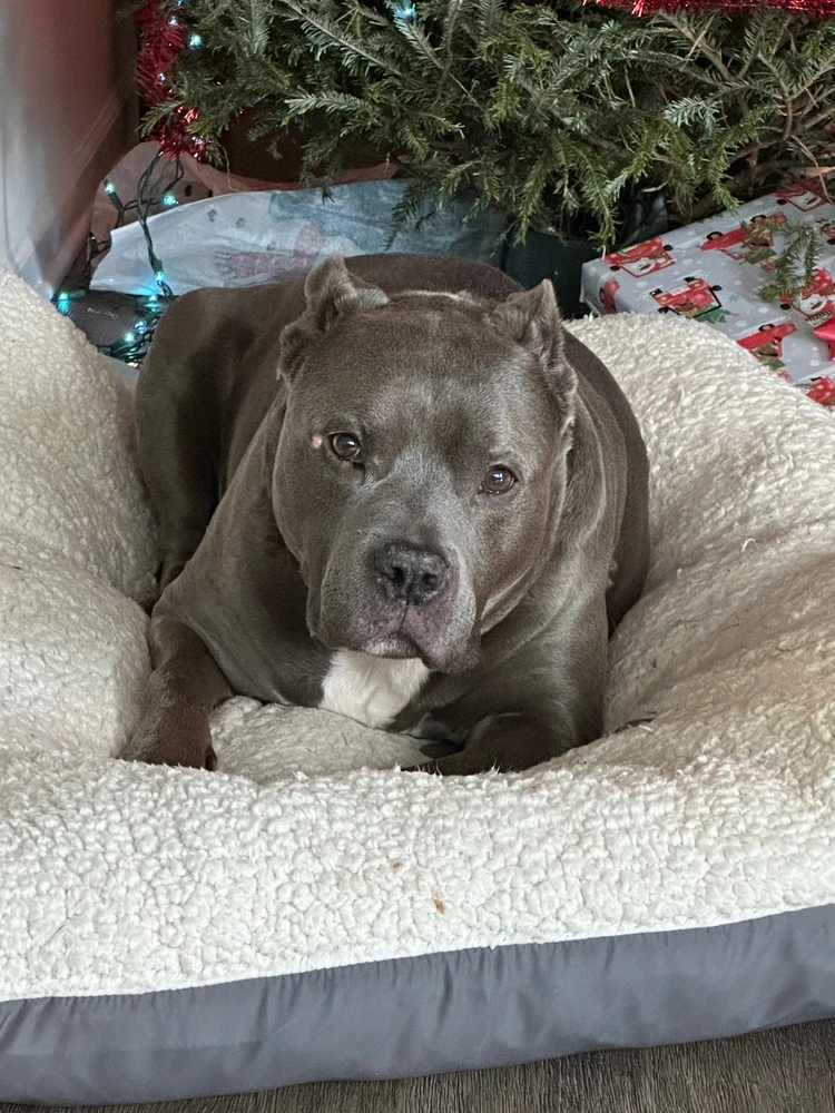 Gambar diunggah dening Mitchell