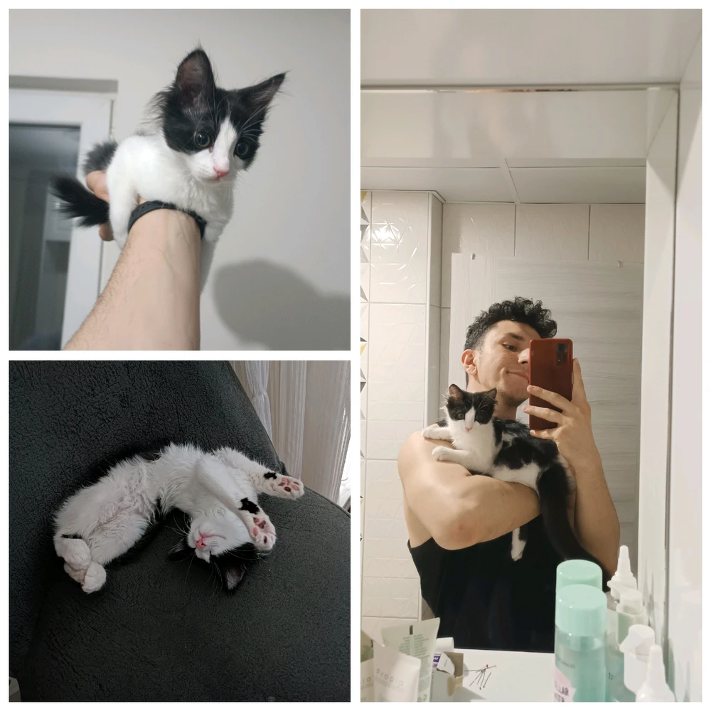 Enes tarafından yüklenen görsel