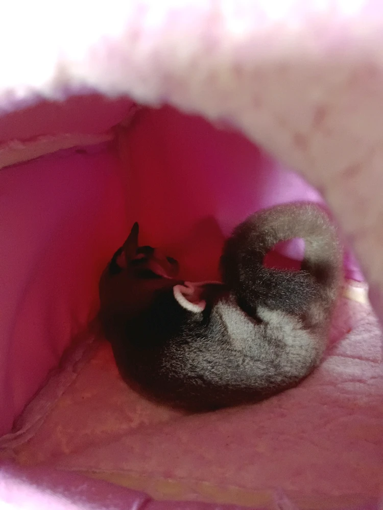 รูปที่อัพโหลดโดย Ploy