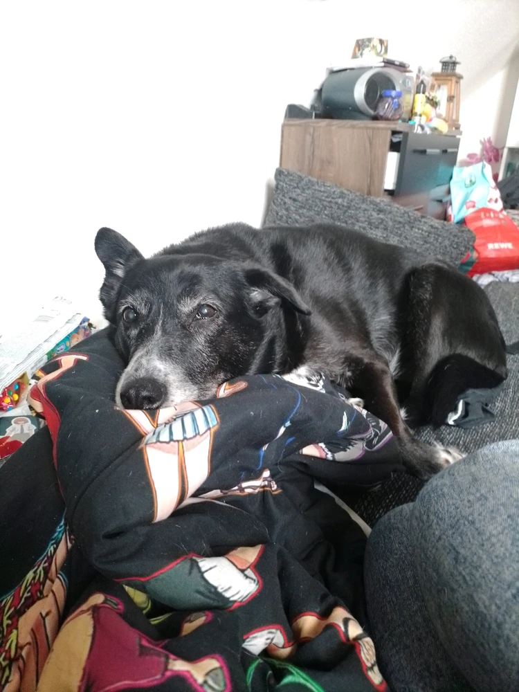 Bild hochgeladen von Kenneth J.