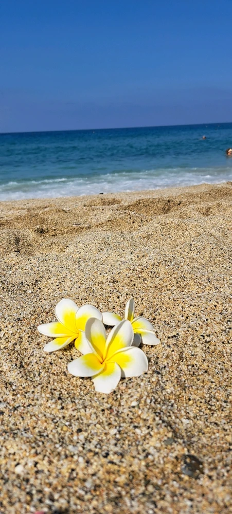 Image uploaded by Sabina