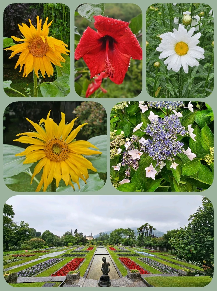Image uploaded by Ewerton
