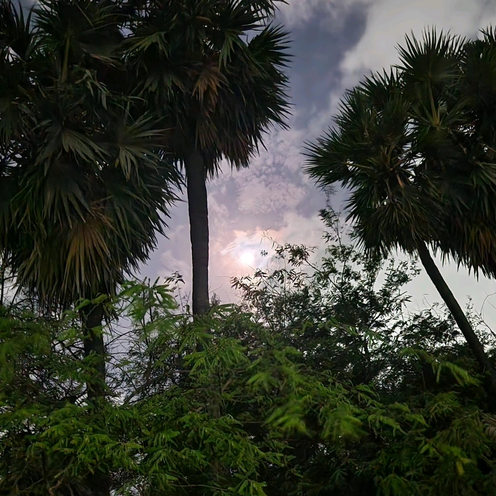 Image uploaded by Siva Sankar