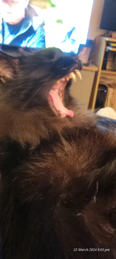 Image uploaded by Angie