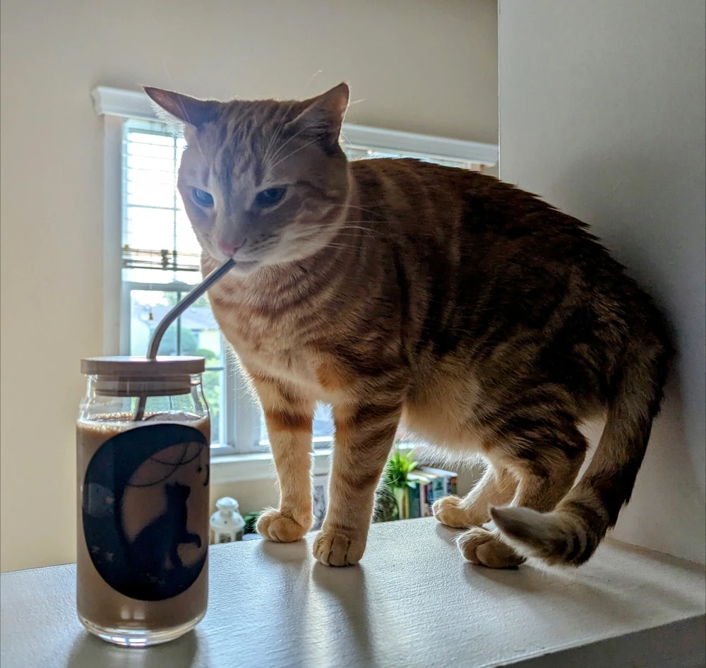 Image uploaded by Melissa