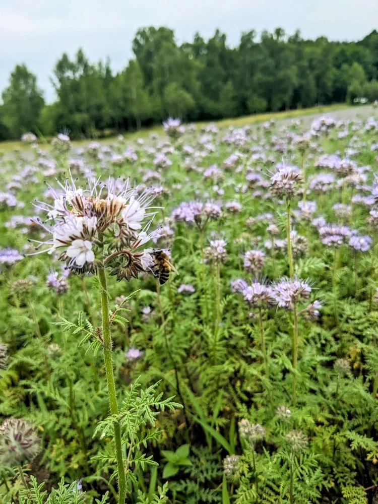 Zdjęcie dodane przez Krystian