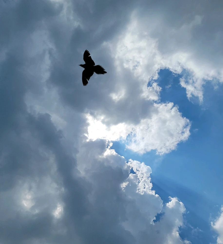 Image uploaded by David Norris