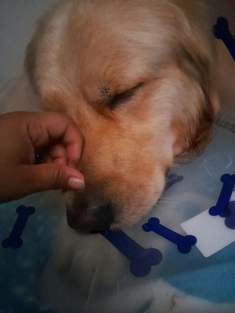 Image ajoutée par Daniela