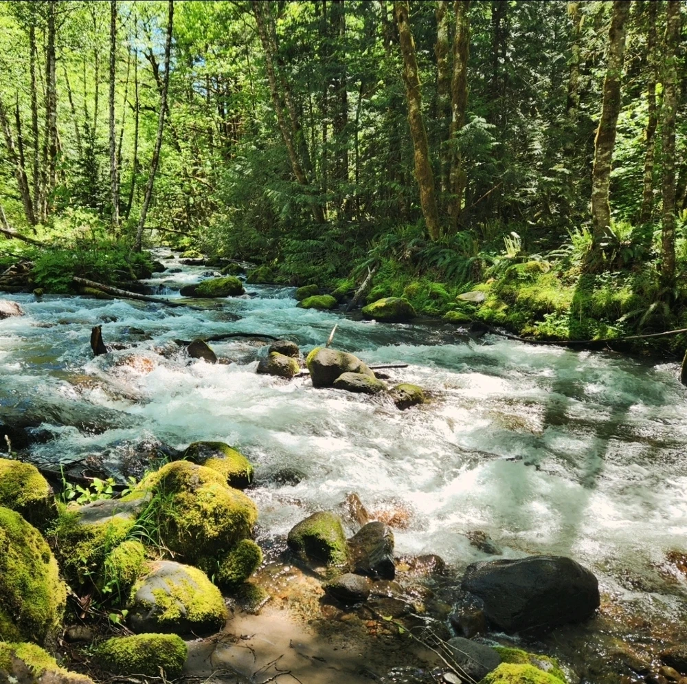 Image uploaded by Chris