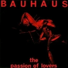 Bauhaus-The passion of lovers