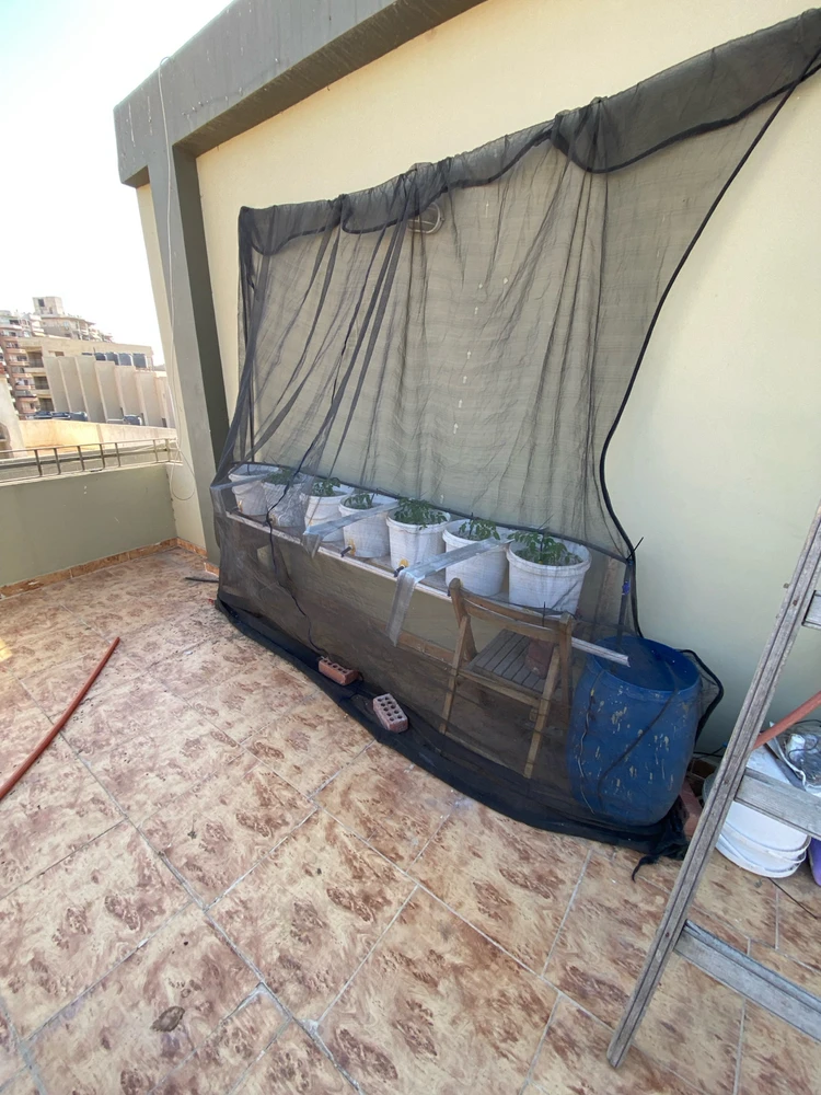 Gambar diunggah dening Abdallah